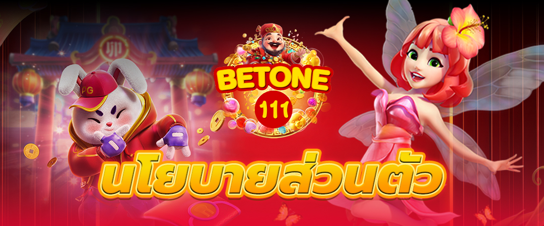 นโยบายส่วนตัว